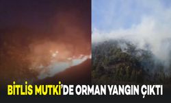 Bitlis Mutki'de Orman Yangını Çıktı