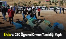 Bitlis'te 250 Öğrenci Orman Temizliği Etkinliği Yaptı