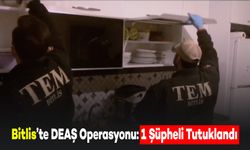 Bitlis'te DEAŞ’a Yönelik Operasyonda 1 Şüpheli Yakalandı