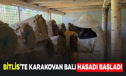 Bitlis'te Dünyaca Ünlü Karakovan Balı Hasadı Başladı