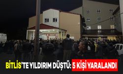 Bitlis'te Mezraya Yıldırım Düştü: 5 Kişi Yaralandı