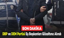 Operasyon Sonucunda DBP ve DEM Partisi Eş Başkanları Gözaltına Alındı