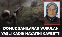 Domuz Sanılarak Vurulan 80 Yaşındaki Kadın Hayatını Kaybetti