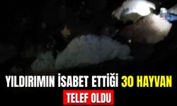 Yıldırımın İsabet Ettiği 30 Hayvan Telef Oldu