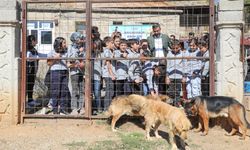 Bitlis'te Hayvanları Koruma Günü Etkinliği Düzenlendi