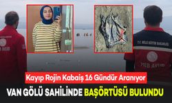 Kayıp Rojin Kabaiş 16 Gündür Aranıyor: Van Gölü Etrafında Başörtüsü Bulundu