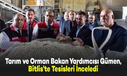 Tarım ve Orman Bakan Yardımcısı Gümen, Bitlis'te Tesisleri İnceledi