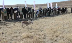 30 Ceylan Törenle Doğaya Bırakıldı