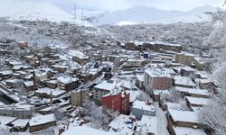 Bitlis kar yağışının etkisine girecek