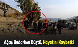 Ağaç Budarken Düşen 75 Yaşındaki Adam Hayatını Kaybetti