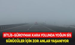 Bitlis-Güroymak Karayolunda Yoğun Sis: Sürücüler Zorluk Çekiyor