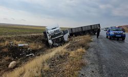 Bitlis'te kontrolden çıkan tır yoldan çıktı