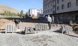 Bitlis Belediyesi’nden Yol ve Kaldırım Çalışmaları