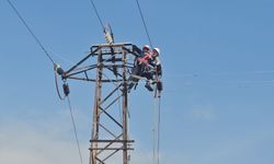 VEDAŞ'tan Bitlis'te Kış Öncesi Enerji Hattı Bakımı