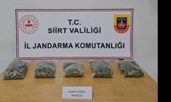 Siirt’te “NARKOGÜÇ” Operasyonu: 5 Kişi Tutuklandı