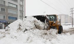 Bitlis'te Kar Yağışı Nedeniyle Kapanan 78 Köy Yolu Ulaşıma Açıldı