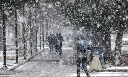 Doğu Bölgesinde Kar Yağışı Etkili Oldu