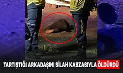 Tartıştığı Arkadaşını Silah Kabzasıyla Öldürdü