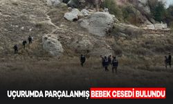 Mezarlık Yakınında Parçalanmış Bebek Cesedi Bulundu