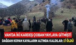 Van’da Dağdan Düşen Kaya Parçalarının Altında Kalan İki Çobandan Biri Öldü