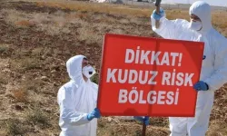 Bölge İlin Bir Köyünde Kuduz Nedeniyle Karantinaya Alındı