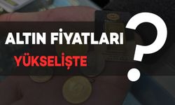 Altın Fiyatları Yükselmeye Devam Ediyor: İşte Son Durum