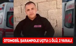 Kontrolü Kaybeden Otomobil Şarampole Uçtu: 1 Ölü, 2 Yaralı