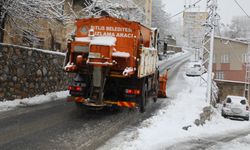 Bitlis Belediyesi, Karla Mücadele Çalışmalarını Hızla Sürdürüyor