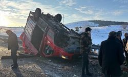 Büyükbaş Hayvan Yüklü Kamyonet ile Tır Çarpıştı: 3 Yaralı