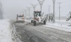 Bitlis'te 77 Köy Yolu Ulaşıma Kapandı