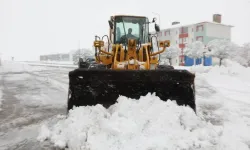 Bitlis'te Kapalı Köy Yolları Ulaşıma Açıldı