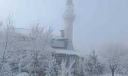 Bitlis’te Yoğun Sis Hem Zorluk Hem Güzellik Getirdi