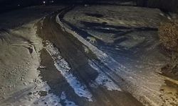 Müezzin Kurt Sürüsünden Son Anda Kurtuldu