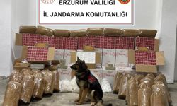 Zahir Köpek Tütün Kaçakçılarını Ele Verdi