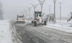 Bitlis’te 42 köye ulaşım sağlanamıyor