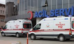 Sobadan sızan gazdan zehirlenen 2 çocuk annesi öldü