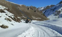 Kardan Kapanan 38 Kilometrelik Yol Ulaşıma Açıldı