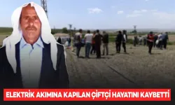 Elektrik Akımına Kapılan Çiftçi Hayatını Kaybetti