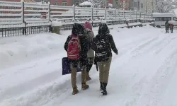 Bingöl’de kar nedeniyle eğitime 1 gün ara verildi