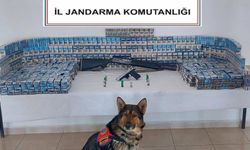 Jandarmadan Kaçak Sigara ve Silah Operasyonu