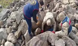 Jandarma Operasyonunda Taşlar Arasında Silah ve Mühimmat Ele Geçirildi