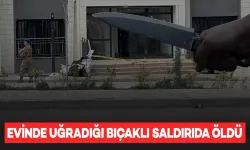 Kanlı Pusu: 65 Yaşındaki Adam Evinde Bıçaklanarak Öldürüldü