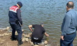 Diyarbakır’da Gölette Balık Ölümleri: Nedeni Oksijen Eksikliği ve Kirlilik