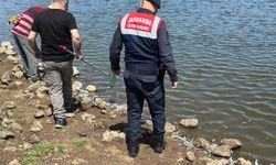 Diyarbakır’da Yüzlerce Yavru Balık Kıyıya Vurdu