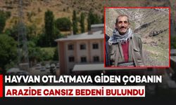 Hayvan Otlatmaya Giden 60 Yaşındaki Çoban Ölü Bulundu