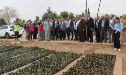 Bu Yıl da Acıya Doyacak: Çiftçilere Binlerce Urfa Biberi Fidesi Dağıtıldı