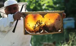 Taklit ve Hileli Gıda Sayısı 1.418’e Yükseldi: Sağlığa Zararlı Ürün Sayısı 222 Oldu