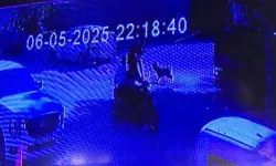 Evden Kaçan Köpek İki Kıza Saldırdı: Biri Yaralandı