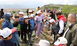 Öğrenciler Fidan Dikti, Geleceğe Nefes Oldu