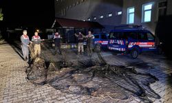 Van Gölü'nde 1 Ton Canlı İnci Kefali Kurtarıldı